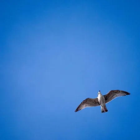 139 Am Wattenmeer Apartman *